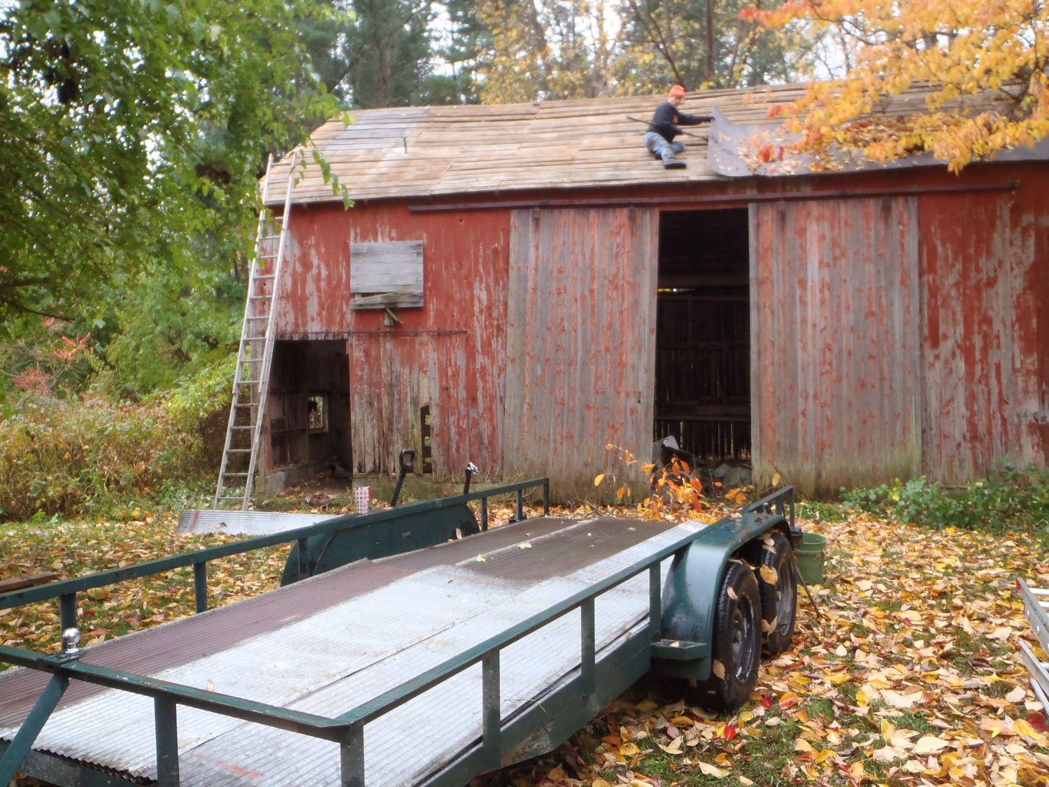 Jim on the barn roof, prepping to start deconstructing the barn